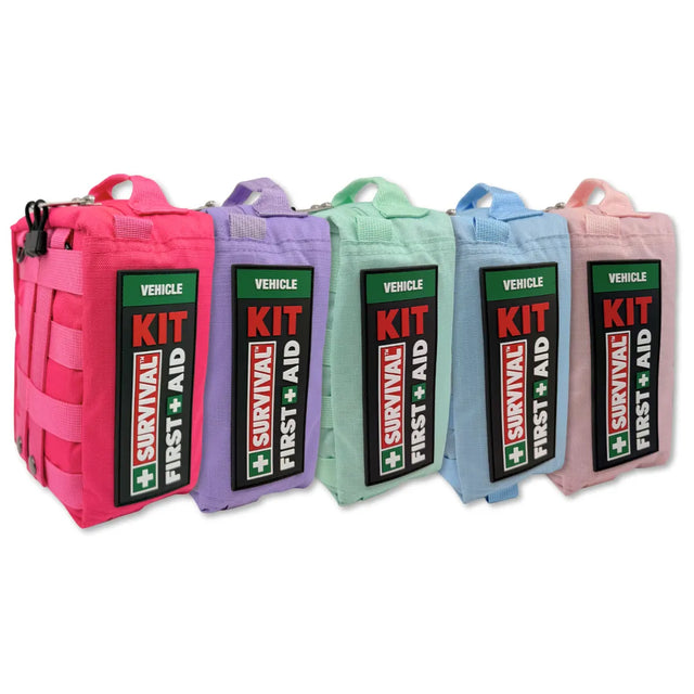 Pastel Collection Christmas Bundle (Medium) - SURVIVAL